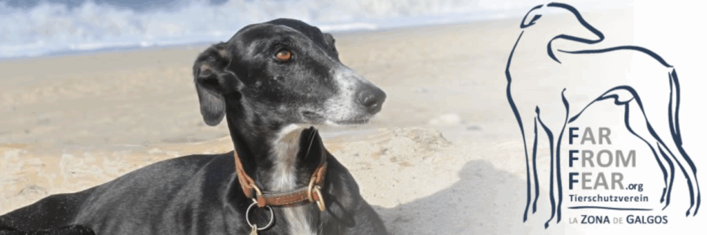 Zona de galgos