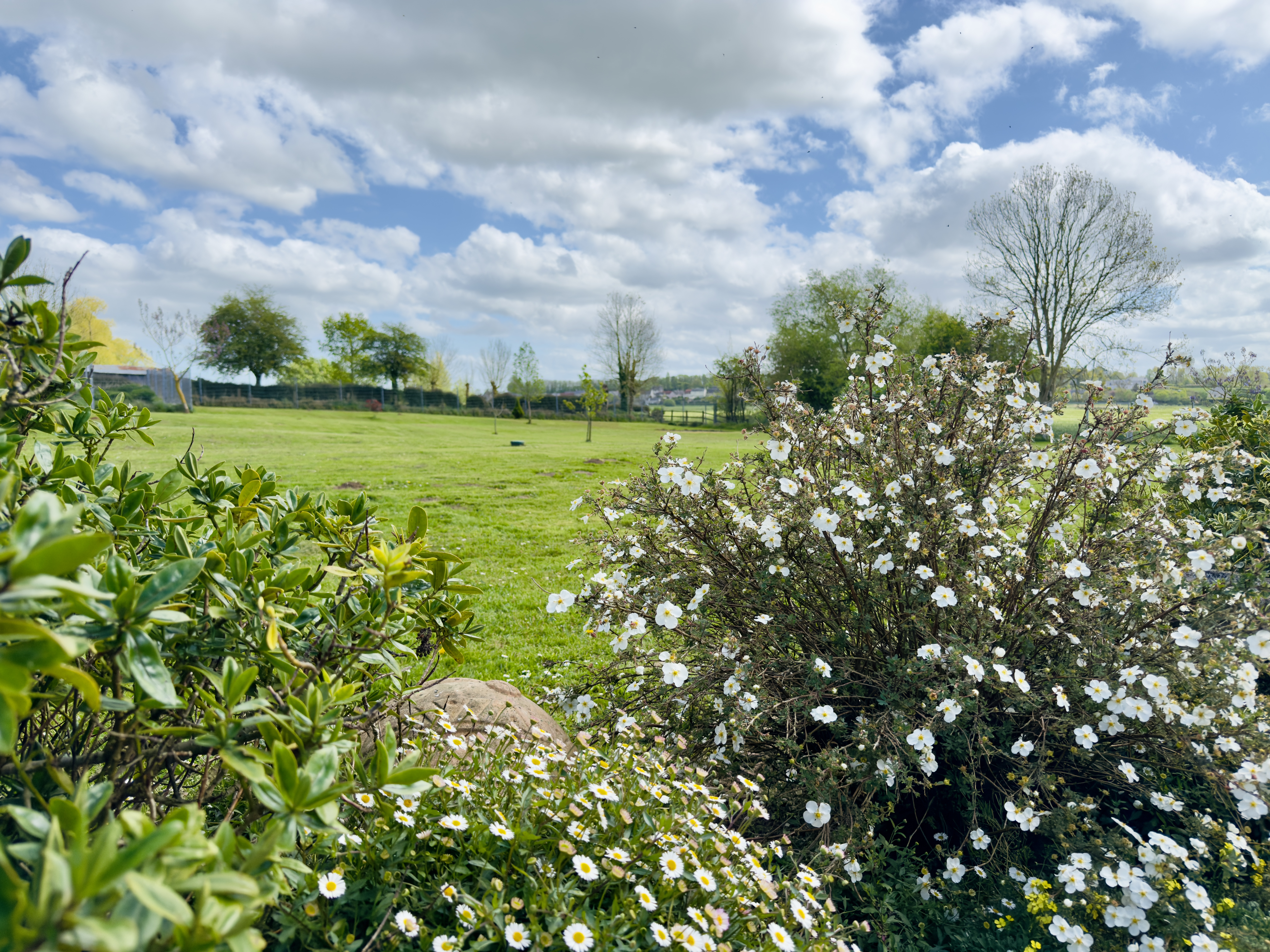 Blick in den Garten