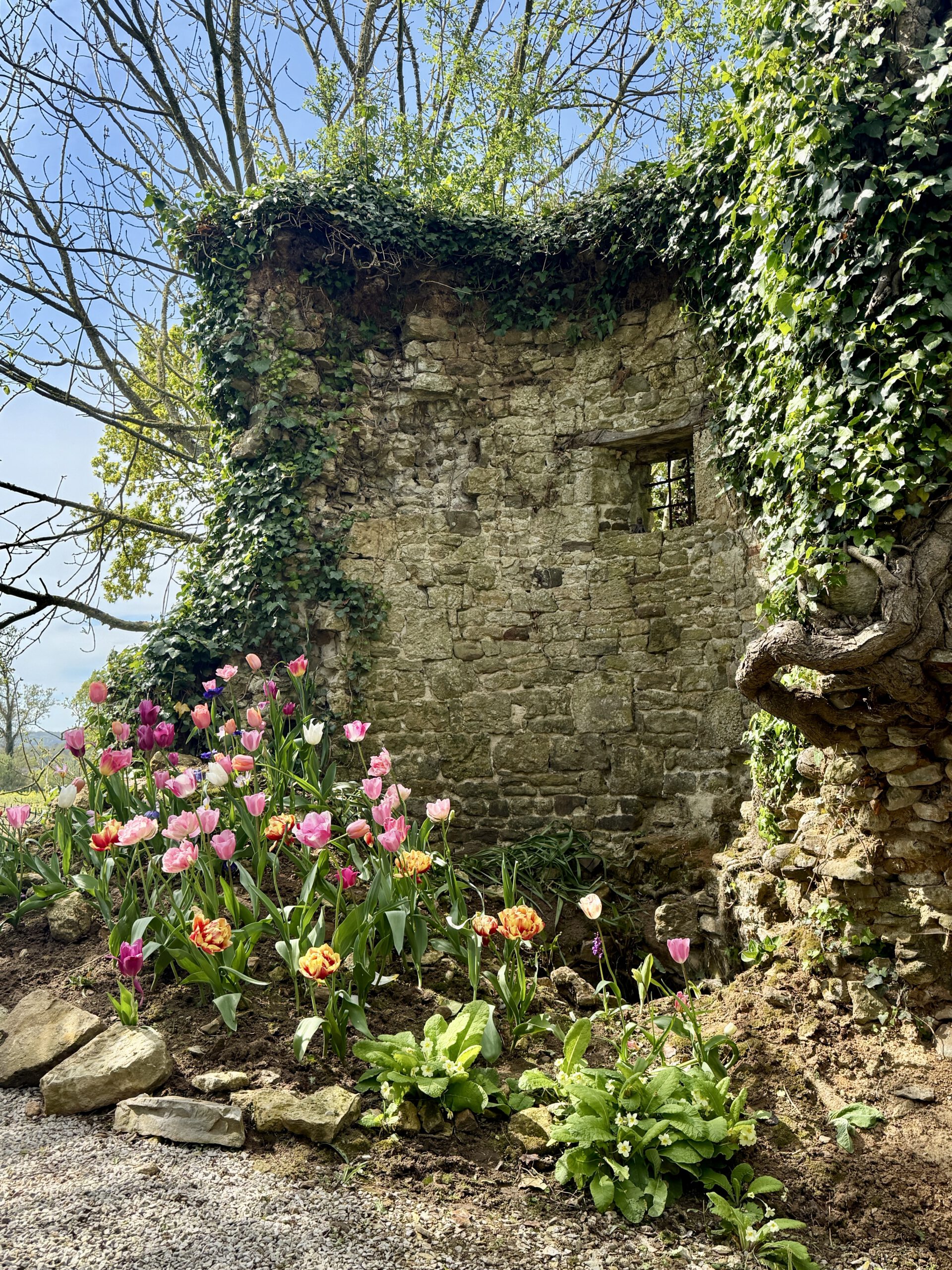 Ruine im Blütenrausch